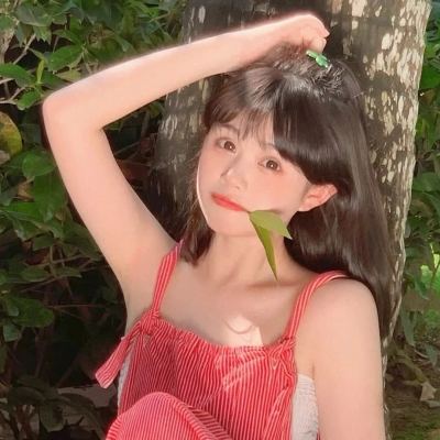 秘境传说神木遗迹游戏下载